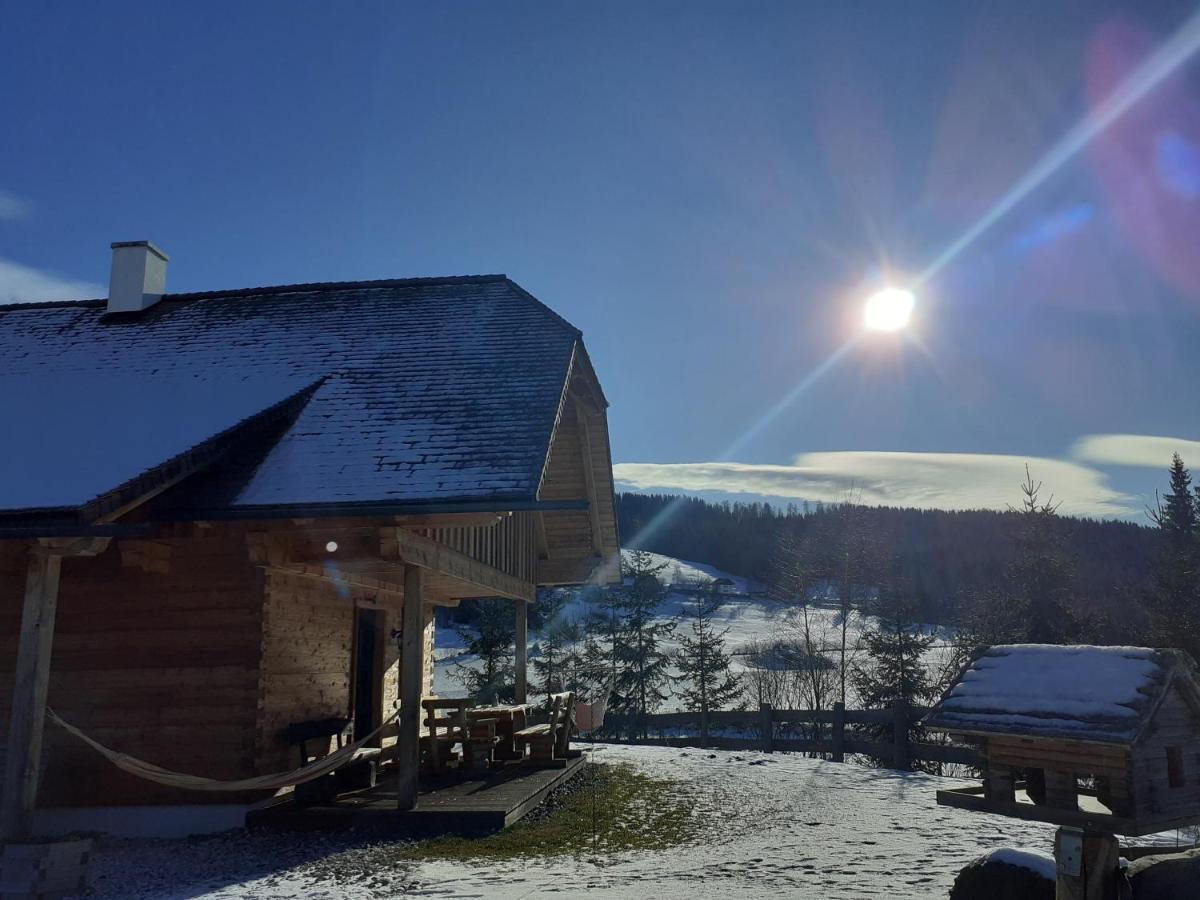 Pichelhuette Villa Murau Kültér fotó
